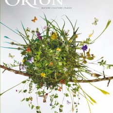 Orion Magazine